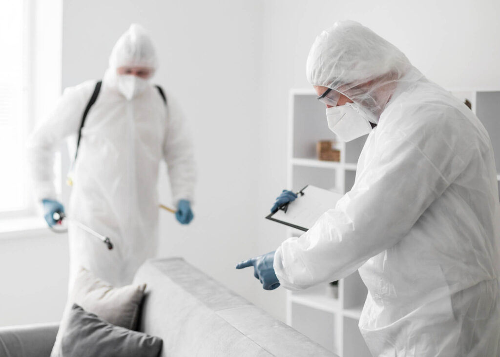 Cleanup and Mold Remediation company